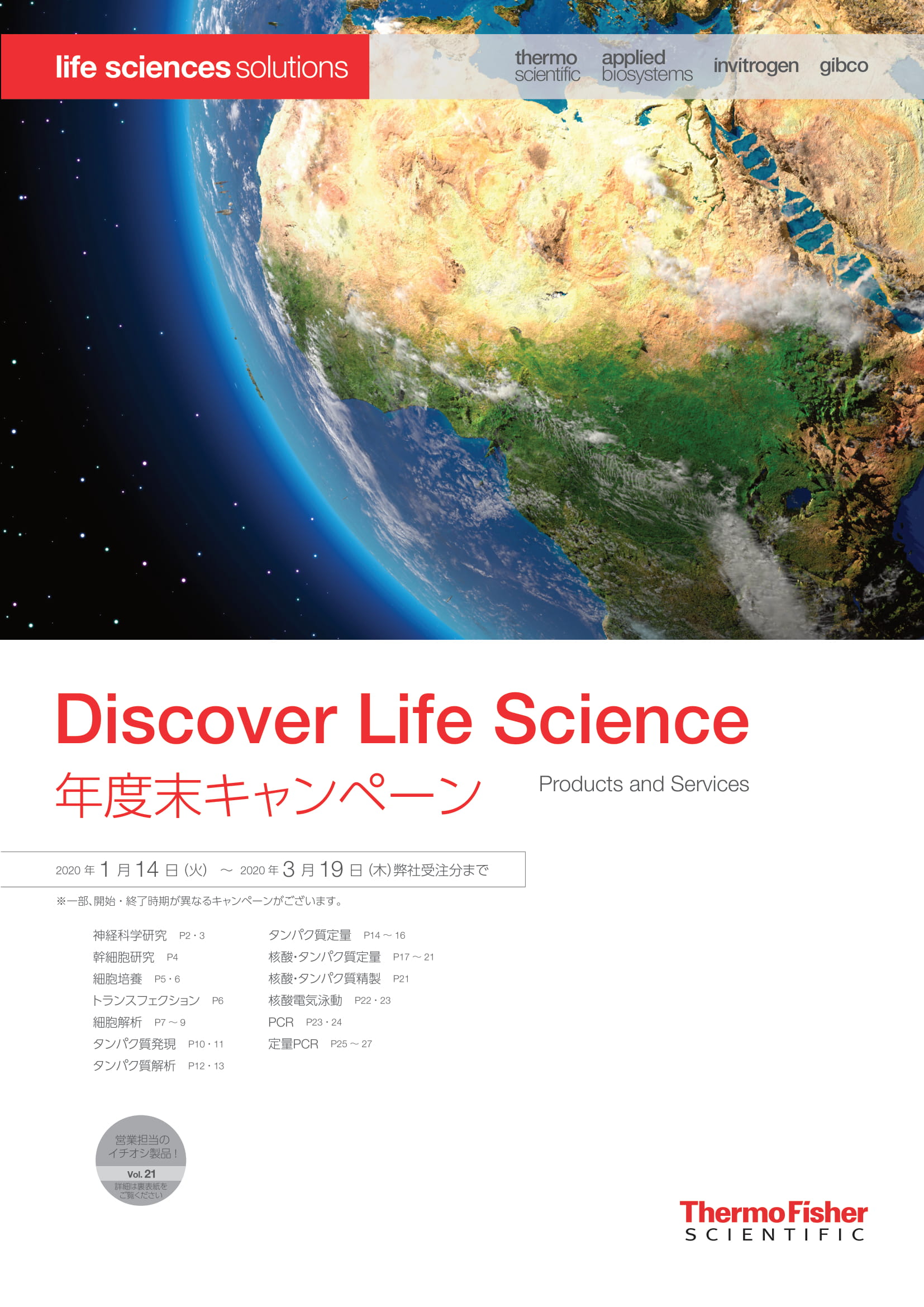 注目情報